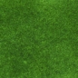 Preview: VIVA Decor Paper-Soft-Color 75 ml moosgrün