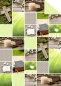 Preview: URSUS Fotokarton Hope Motiv 01