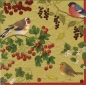 Preview: Caspari Cocktail Serviette pro Stück Winter Birds Gold
