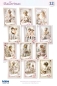 Preview: Reddy Cards Bastelset für 12 Karten Ballerinas
