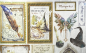 Preview: Ciao Bella 6 x 6 Inch Wizard Academy Deluxe Paper Silver