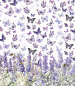 Preview: Ciao Bella Vellum Paper Patterns A4 Morning in Provence