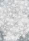 Preview: Ciao Bella Reispapier Rice Paper A5 Set aus 8 einzelnen Papieren Winter Wonderland