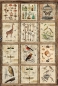 Preview: Ciao Bella Paper Rice Paper Reispapier A4 Mixed Cabinet of Curiosities