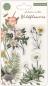 Preview: Craft Consortium Clear Stamp At Home in the Wildflowers Flora