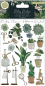 Preview: Craft Consortium Botany Boutique Rub-Ons