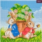 Preview: Craft Buddy CAK-PBRT31M Framed Crystal Art Holzrahmen Peter and Flopsy Flower Pot