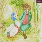 Preview: Craft Buddy CAK-PBRT30M Framed Crystal Art Holzrahmen Jemima Puddle Duck and Mr. Fox