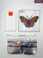 Preview: Craft Buddy CAMK-63 Crystal Motif Kit Kristallkunst Sticker Beautiful Butterfly