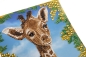 Preview: Craft Buddy CCK-A119 Crystal Art Card 18 x 18 cm Baby Giraffe