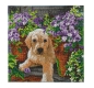 Preview: Craft Buddy CAK-A182M Framed Crystal Art Holzrahmen Floral Pup
