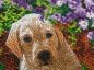 Preview: Craft Buddy CAK-A182M Framed Crystal Art Holzrahmen Floral Pup