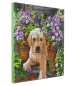 Preview: Craft Buddy CAK-A182M Framed Crystal Art Holzrahmen Floral Pup
