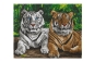 Preview: Craft Buddy CAK-A201L Crystal Art Canvas Kit Holzrahmen Tigers