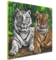 Preview: Craft Buddy CAK-A201L Crystal Art Canvas Kit Holzrahmen Tigers