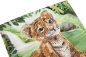Preview: Craft Buddy CCK-A123 Crystal Art Card 18 x 18 cm Tiger Cub