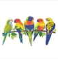 Preview: Craft Buddy CA-HD02KT Crystal Art Hanging Wall Decoration Parrot Paradise