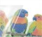 Preview: Craft Buddy CA-HD02KT Crystal Art Hanging Wall Decoration Parrot Paradise