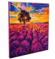 Preview: Craft Buddy CAK-A203M Framed Crystal Art Kit Holzrahmen Lavender Field