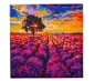 Preview: Craft Buddy CAK-A203M Framed Crystal Art Kit Holzrahmen Lavender Field