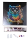 Preview: Craft Buddy CAK-A199M 30 x 30 cm Crystal Art Kit Holzrahmen Owl