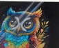 Preview: Craft Buddy CAK-A199M 30 x 30 cm Crystal Art Kit Holzrahmen Owl