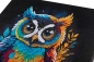 Preview: Craft Buddy CAK-A199M 30 x 30 cm Crystal Art Kit Holzrahmen Owl