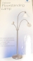Preview: Daylight Deluxe Standleuchte E 21067 Satinsilber