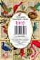 Preview: Decorer Bird Paper Pack