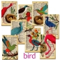 Preview: Decorer Bird Paper Pack