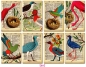 Preview: Decorer Bird Paper Pack