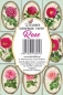 Preview: Decorer Rose Paper Pack
