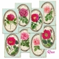 Preview: Decorer Rose Paper Pack