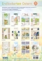 Preview: Reddy Cards Endloskarten Ostern