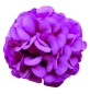 Preview: Craftbuddy Flowerz Cute Camelias / Kamelien Magenta