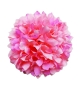 Preview: Flowerz Chic Chrysanthemums / Chrysantheme Peach