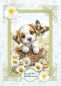Preview: Reddy Cards Bastelset Sommergrüße mit Gänseblümchen