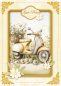 Preview: Reddy Cards Bastelset Sommergrüße mit Gänseblümchen