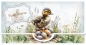 Preview: Reddy Cards Geschenkumschläge zu Ostern