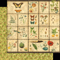 Preview: Graphic 45 Nature Notebook Deluxe Collector's Edition