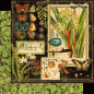 Preview: Graphic 45 Nature Notebook Deluxe Collector's Edition