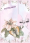 Preview: Reddy Cards Grußkartenset Gutscheinkarten 1