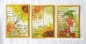 Preview: Marianne Design Clear Stamp & Die Tiny's Flowers Sunflower