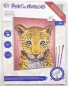 Preview: Craft Buddy PBN3040D Painting by Numbers Framed Kit Malen nach Zahlen Rise