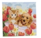 Preview: Craft Buddy PBN-3030-20 Painting by Numbers Framed Kit Malen nach Zahlen Sunshine in Tulip Field