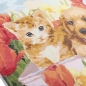 Preview: Craft Buddy PBN-3030-20 Painting by Numbers Framed Kit Malen nach Zahlen Sunshine in Tulip Field