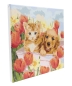 Preview: Craft Buddy PBN-3030-20 Painting by Numbers Framed Kit Malen nach Zahlen Sunshine in Tulip Field
