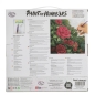 Preview: Craft Buddy PBN-TK3030-64 Painting by Numbers Framed Kit Malen nach Zahlen A Perfect Red Rose