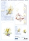 Preview: 3D Stanzbogen Set Bibel Kelche