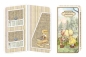 Preview: Reddy Cards Geschenkkarten mit Sarah Kay